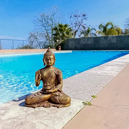 Daire Fabron Et De Luxe Avec Piscine Nice